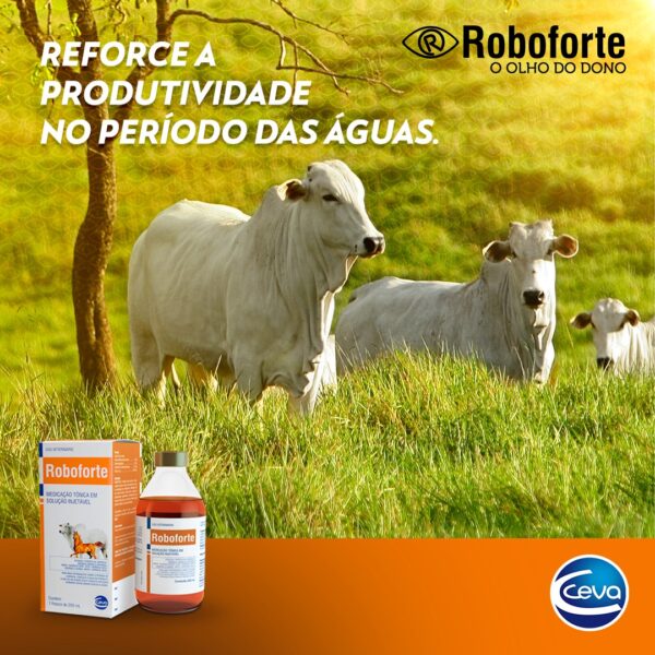 Roboforte 250ml